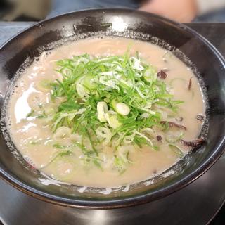 ネギラーメン(麺屋 はし本)