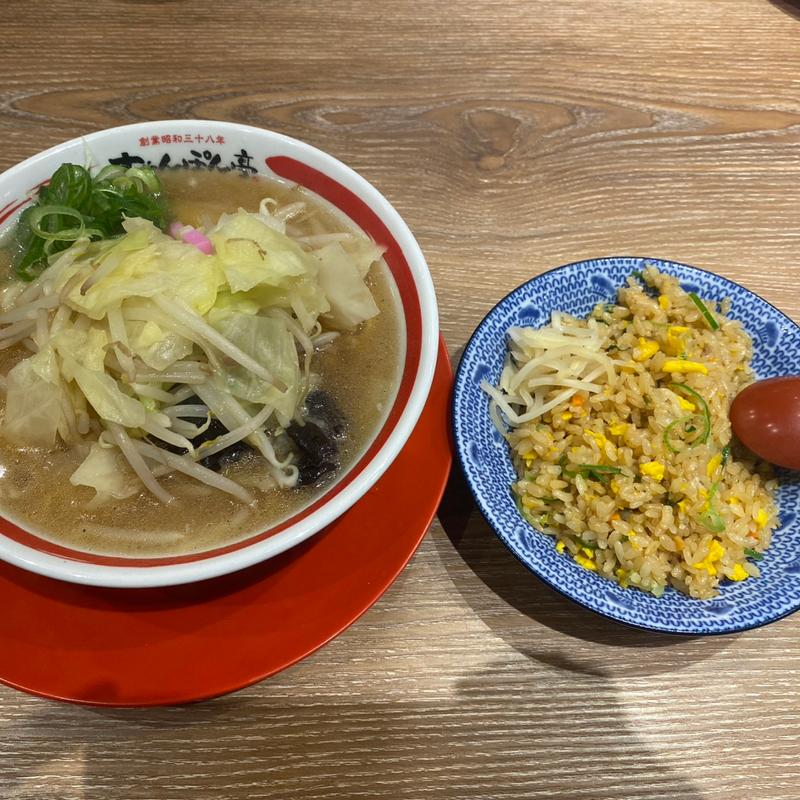 ちゃんぽん　野菜中(ちゃんぽん亭総本家 米原店)