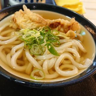 (星のうどん （ほしのうどん）)