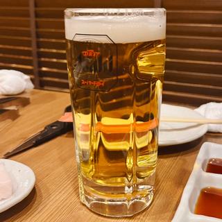 生ビール(中)(焼肉乙ちゃん 本店)