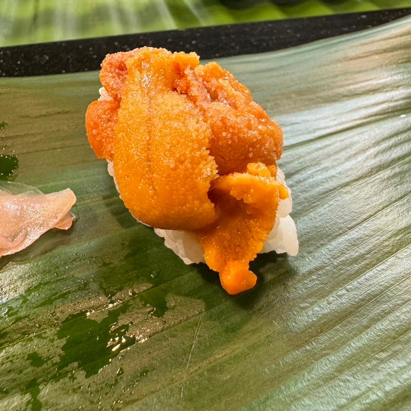 ウニ握り(サロックながた)