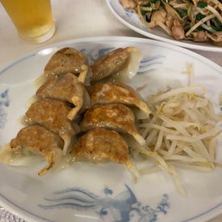 餃子(ラーメン広場 麺福)