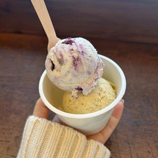 ブルーベリーチーズケーキとピスタチオ(Hilo Homemade Ice Cream)