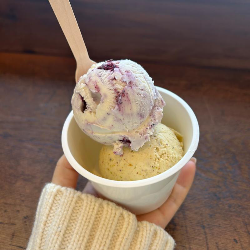ブルーベリーチーズケーキとピスタチオ(Hilo Homemade Ice Cream)