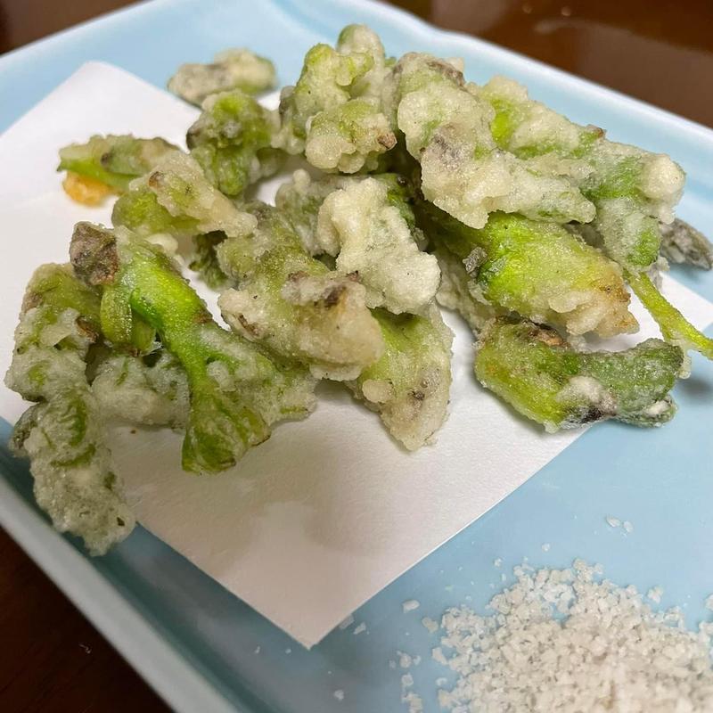 たらの芽天ぷら(わくい亭)