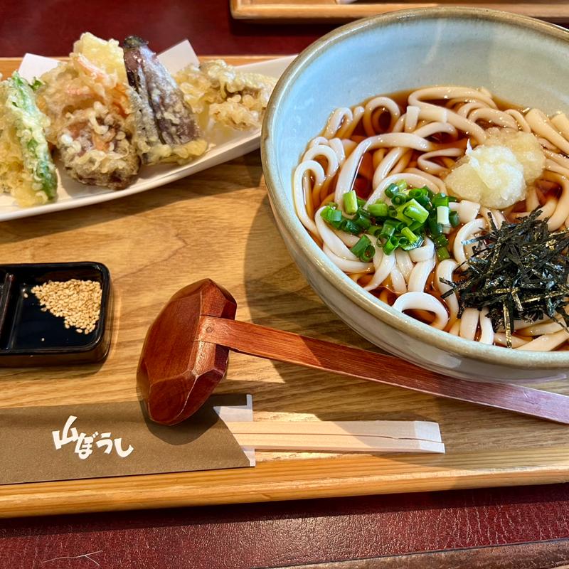 季節の天ぷらうどん(山ぼうし （やまぼうし）)