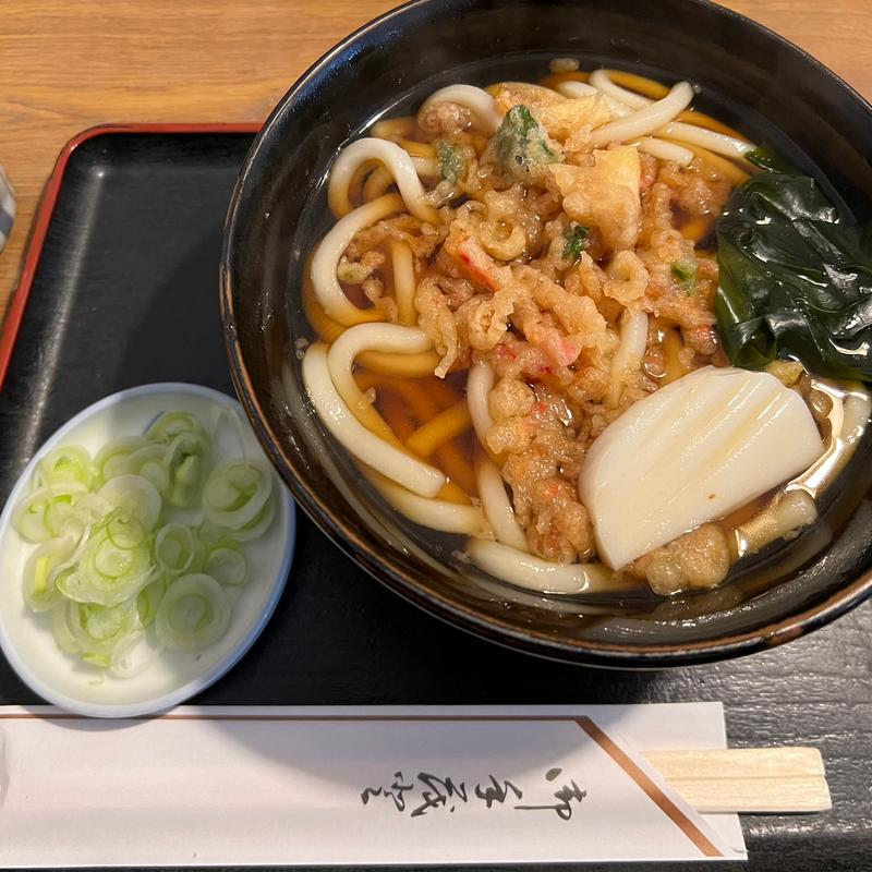 たぬきうどん(更科大黒 )