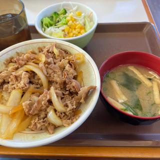 牛丼ランチセット(すき家 佐野鐙塚店 )