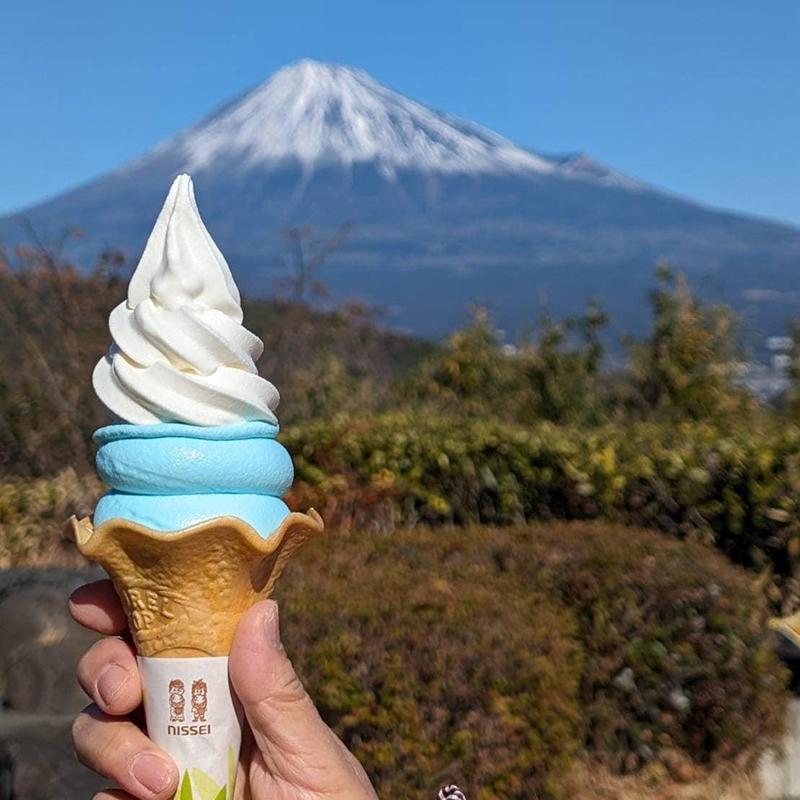 富士山ソフト(フードコート 富士川SA 下り)