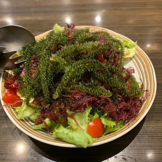海鮮サラダ(沖縄料理のライヴ居酒屋　うりずん)