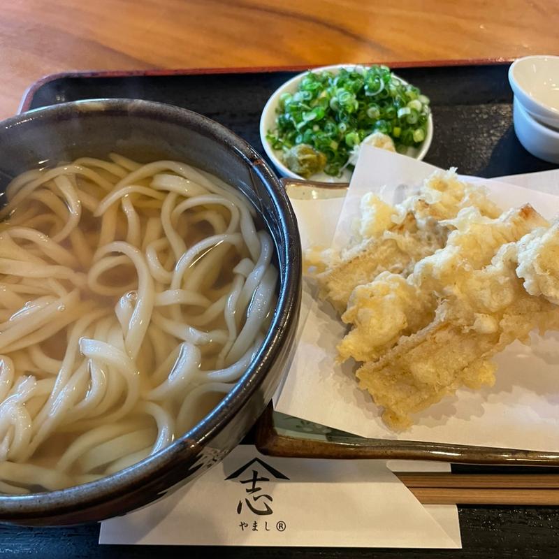 ごぼう天うどん(やま志)