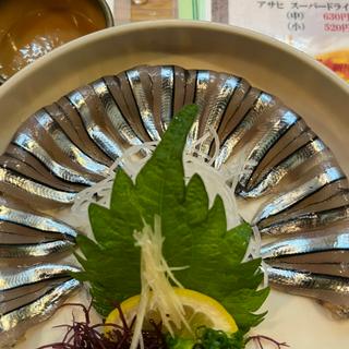 キビナゴ刺(魚将　さかなちゃん )
