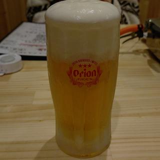 オリオンビール(焼肉ホルモン ちゅらロース 亀有店)