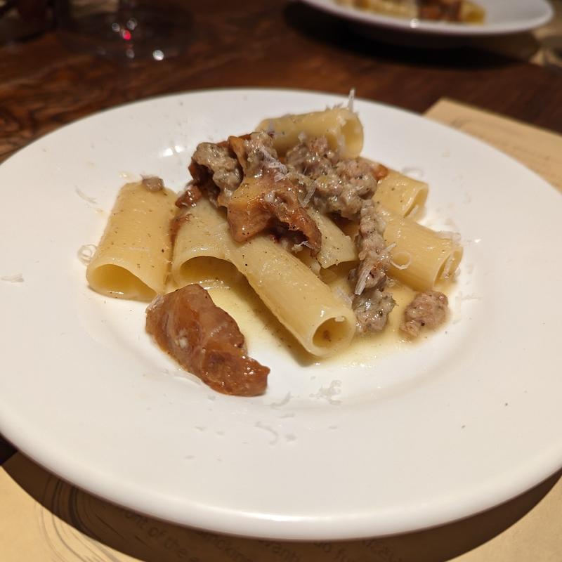 岩中豚とジロール茸のラグーソース ショートパスタ "リガトーニ"(デリツィオーゾ イタリア （DELIZIOSO ITALIA）)