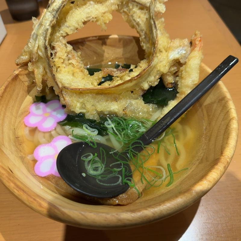 具だくさんうどん(大地のうどん　博多駅ちかてん)