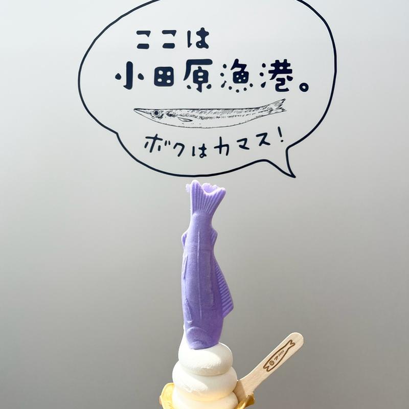 小田原提灯ソフト(漁港の駅TOTOCO)