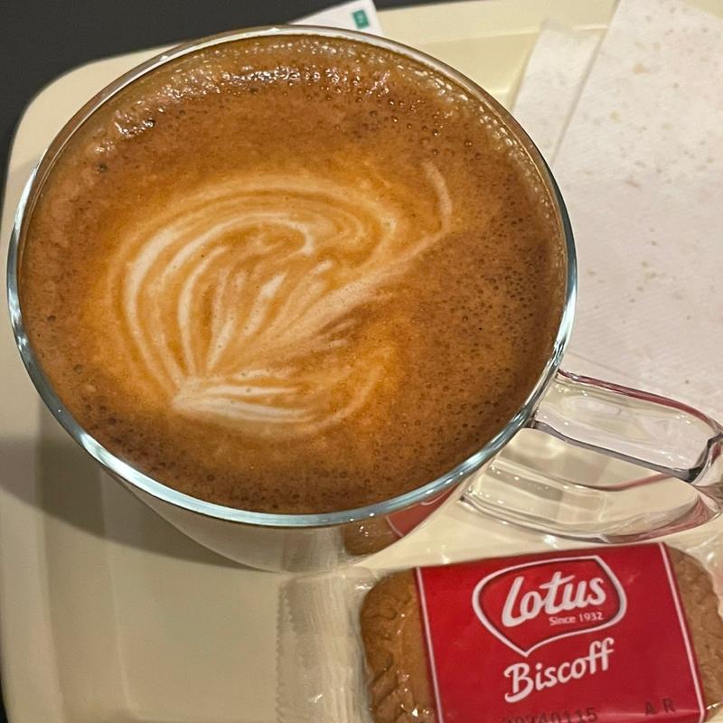 フラットホワイト(BLACK CAT MAPLE)