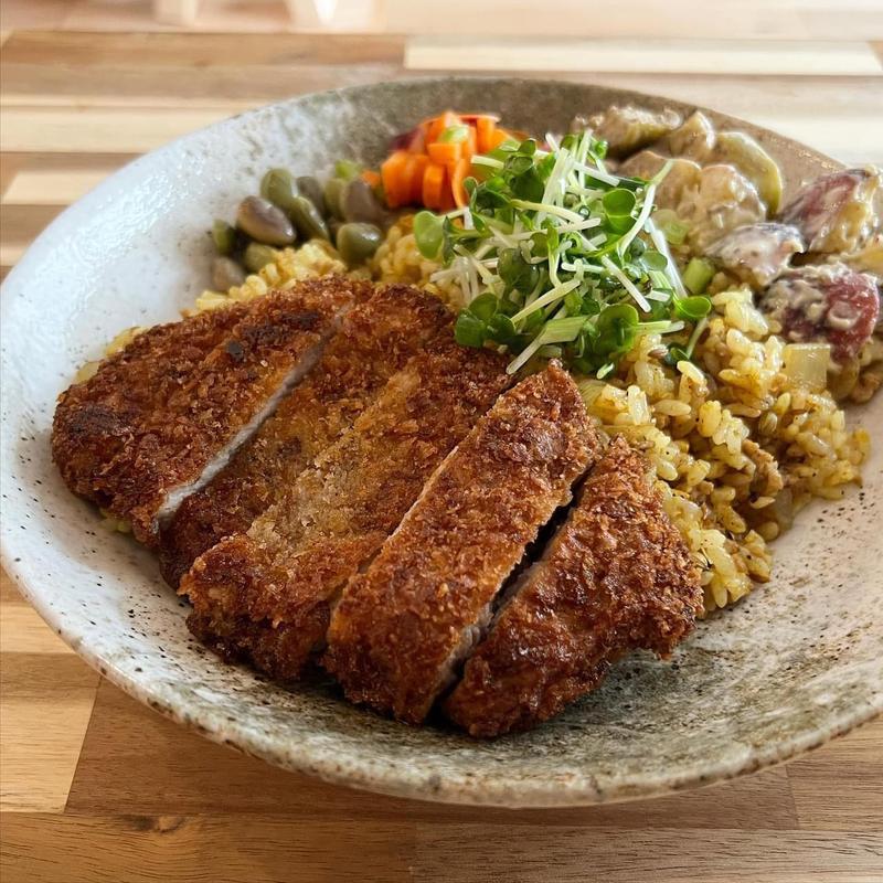 ドライカレー（スパイス豚ロースカツトッピング）(アグニ)