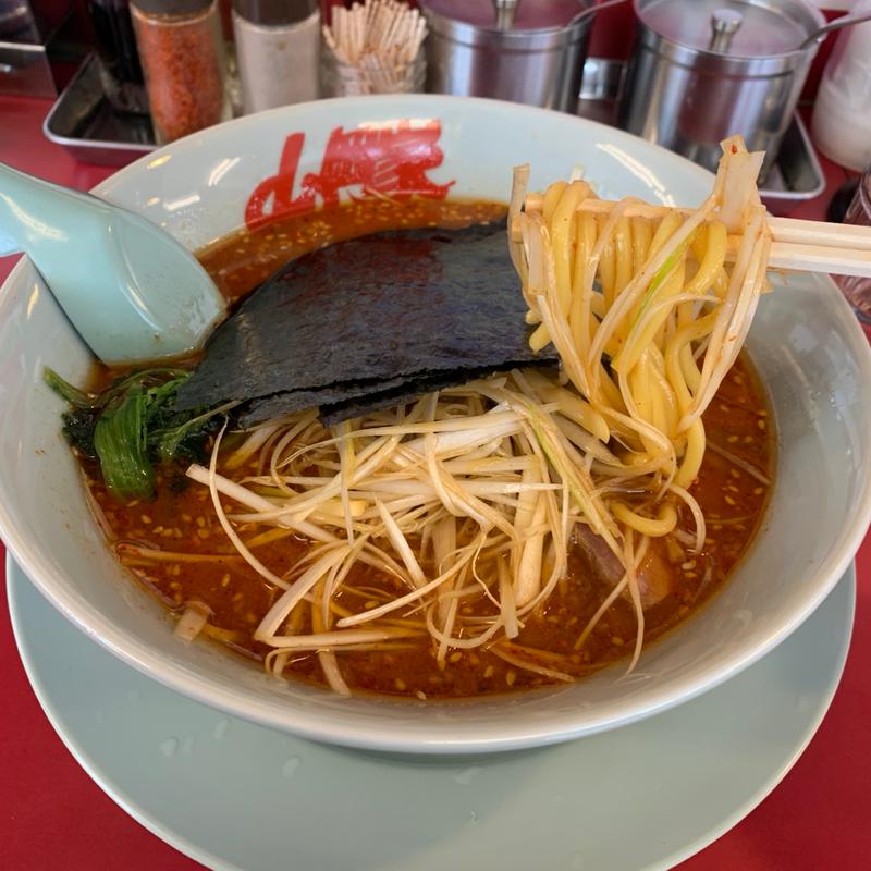 辛味噌ネギラーメン(山岡家 釧路店 （やまおかや）)