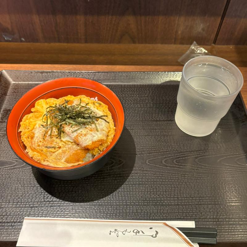 ヒレカツ丼(車や)