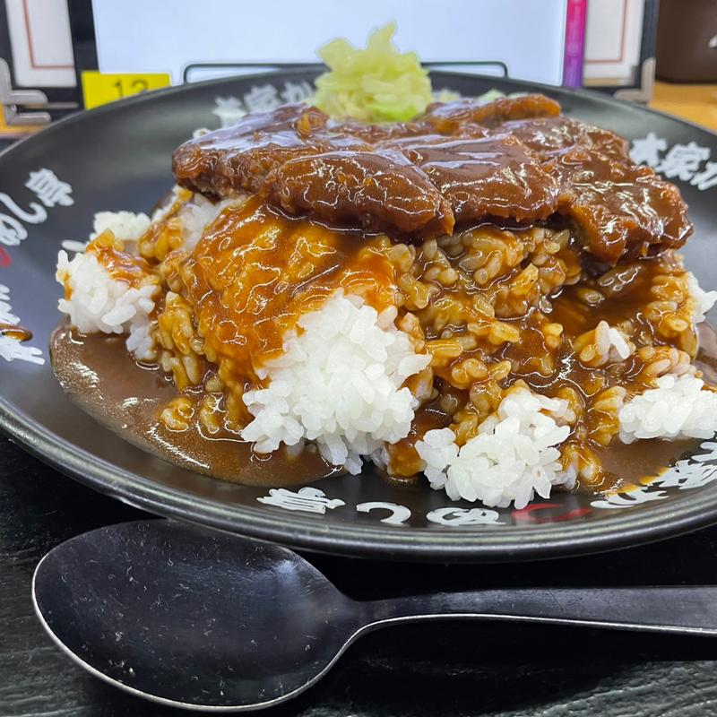 並カツメシ（ご飯大盛）(本家かつめし亭)