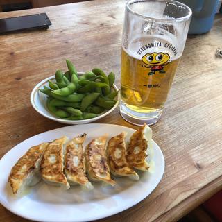 ちょっと一杯セット(宇都宮餃子館 健太店 )