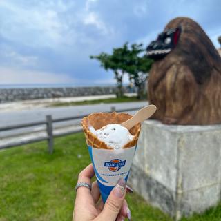 (ブルーシール 名護店 )