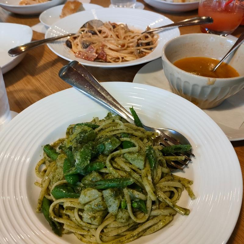 (ＴＡＶＯＬＡＴＡ)