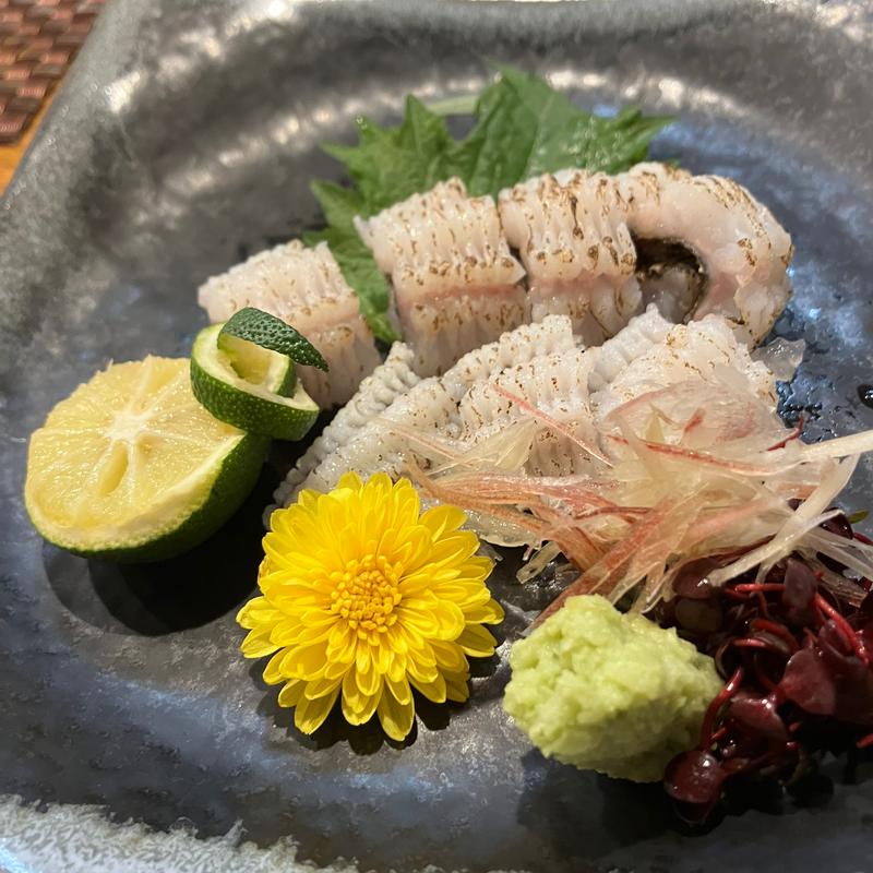 伝助穴子焼き霜つくり(マツタケ食堂 )