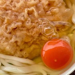 天ぷらうどん+龍の卵(石田鶏卵（株）)