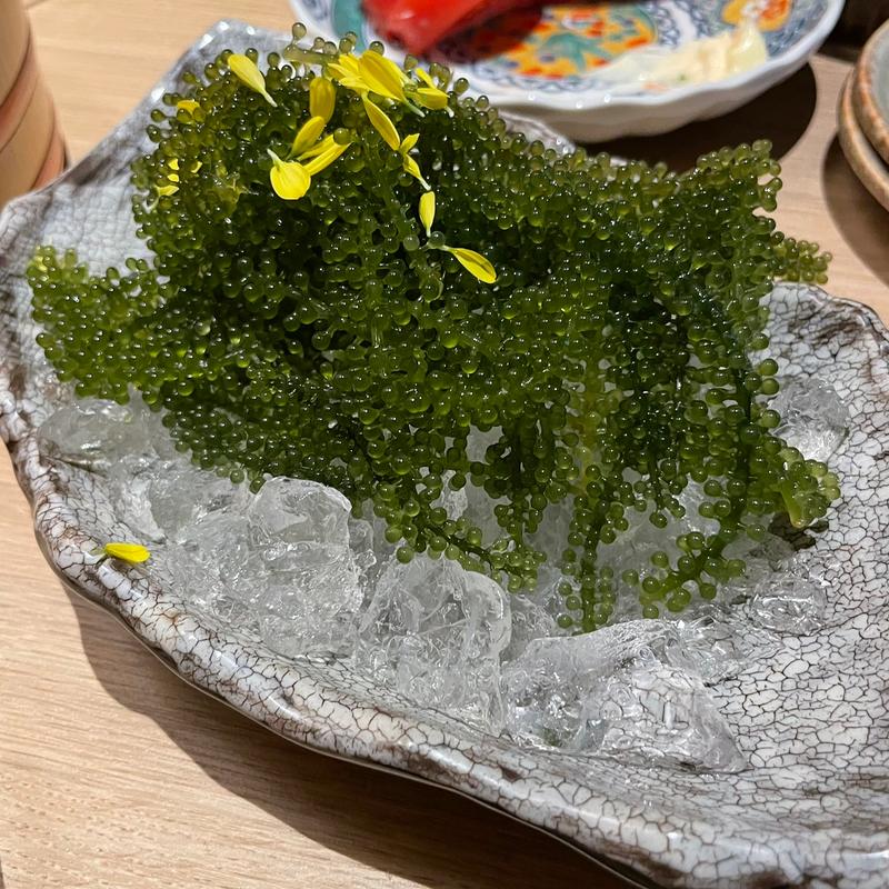 海ぶどう(大名古屋酒場 喰海 今池店)