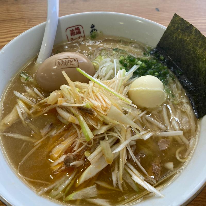 味噌ラーメン（ネギ&煮卵トッピング）(地鶏ラーメン ありがとう)