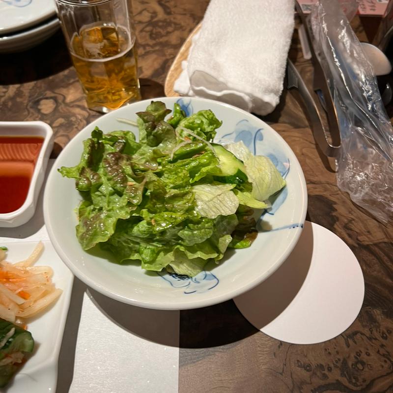 塩チョレギサラダ(東京焼肉 平城苑 浅草総本店)