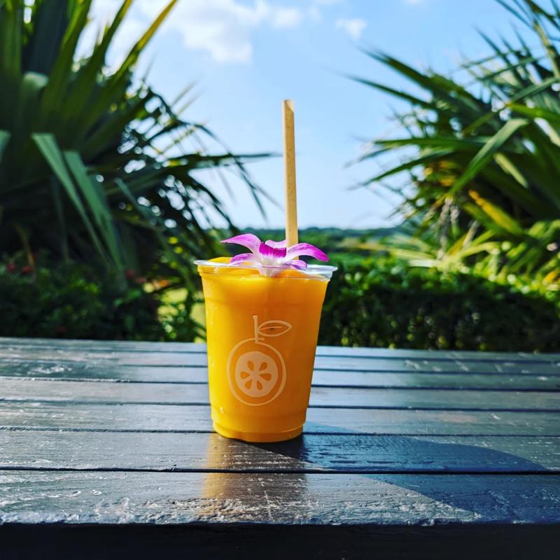 マンゴースムージー(光楽園 )