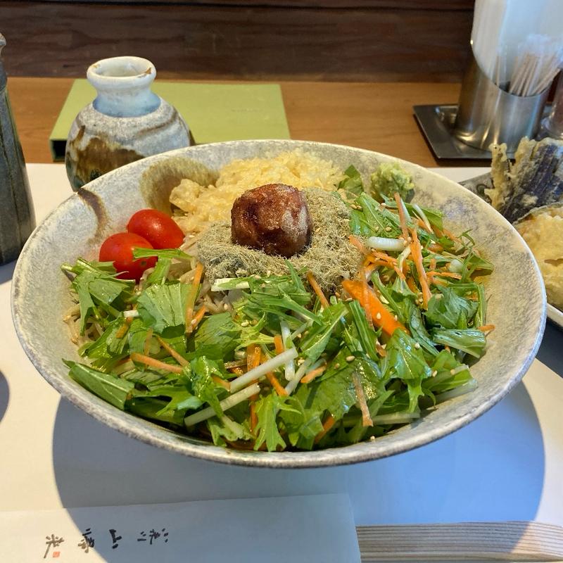 梅天サラダそば大盛り(小来川 山帰来 )