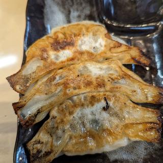 半ライス半餃子セット(麺屋新月)