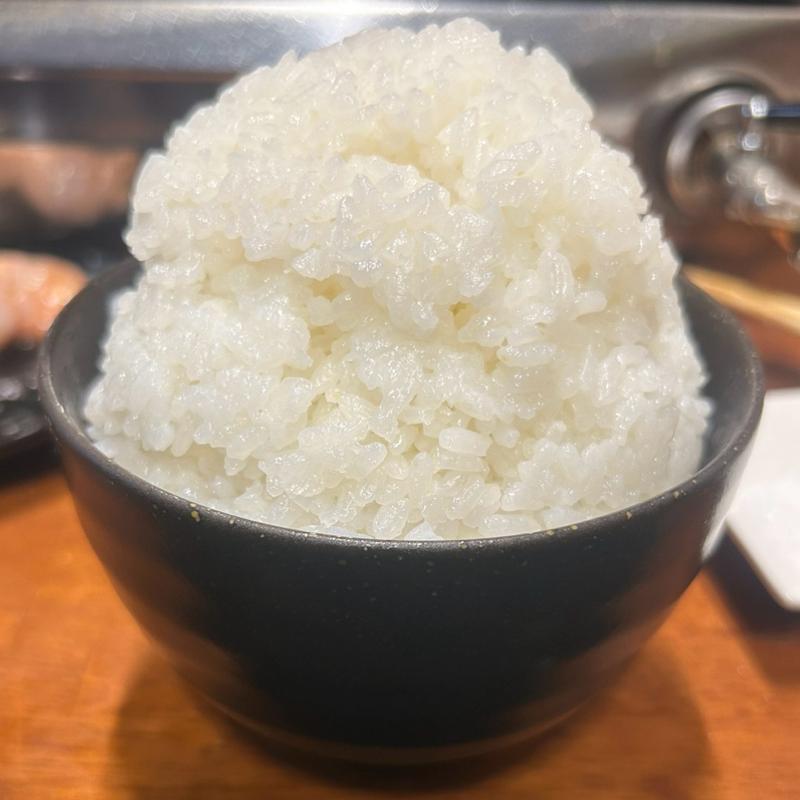 マンガめし(ホルモン焼き 廿廿 （じゅうじゅう）)