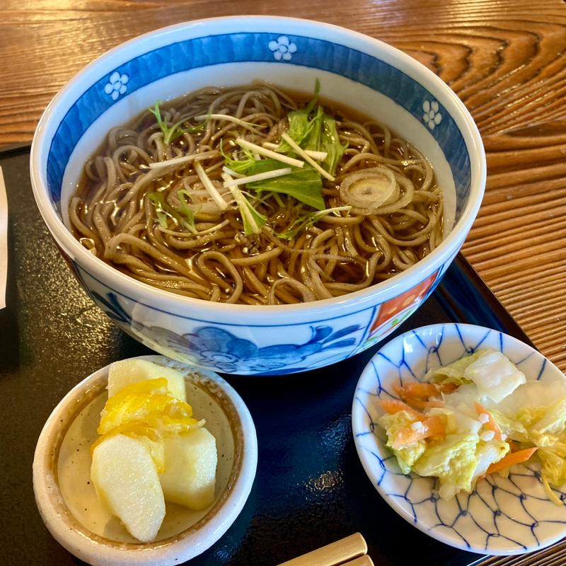 かけそば(手打ちそば紀行庵 )