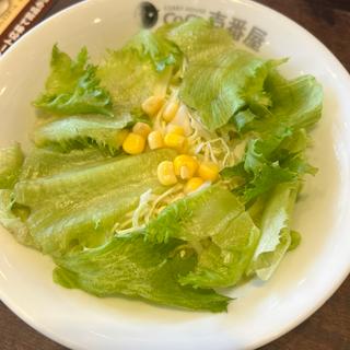 野菜サラダ(CoCo壱番屋 新発田インター店 （ココ）)