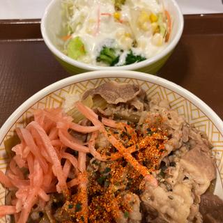 牛丼並+サラダ(すき家 多摩乞田店 )