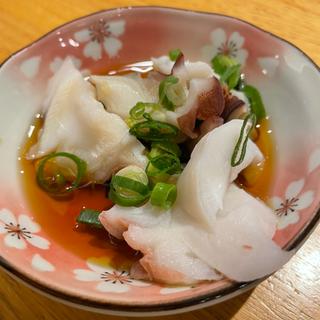 タコ(松前寿し)
