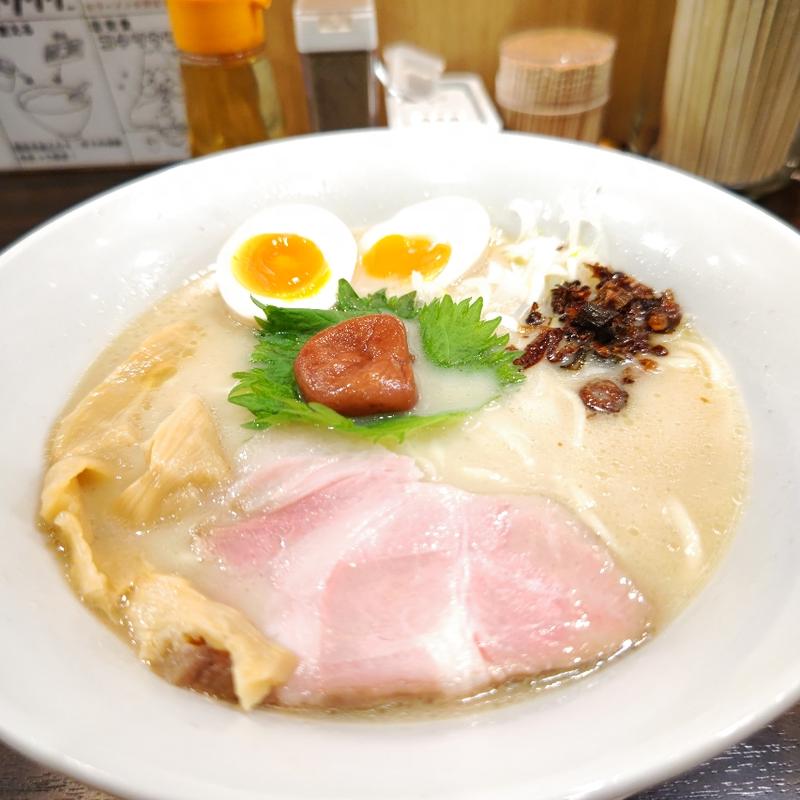 味玉特濃鶏白湯麺(鶏白湯ラーメン専門店 鶏ふじ)