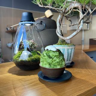 氷・京抹茶とマスカルポーネ(京都 三代目太三郎)