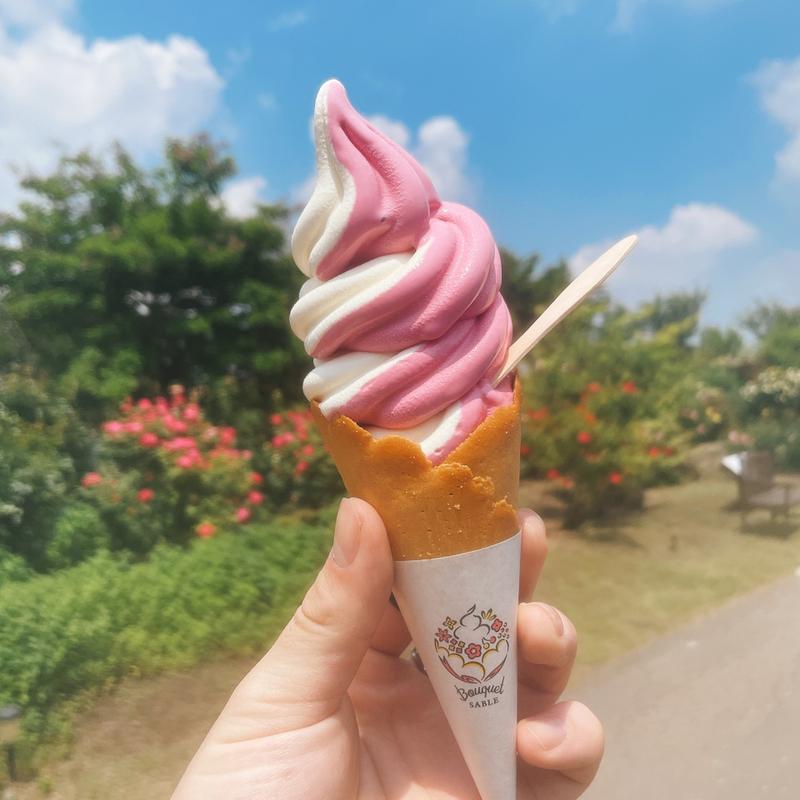 (くじゅう花公園)