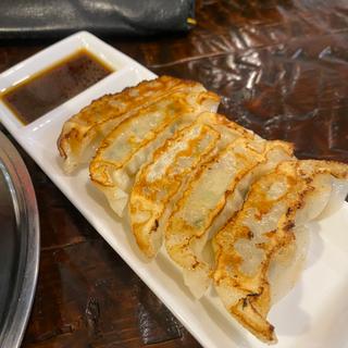 餃子(熊本拉麺 豚美)
