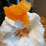 かんきつと杏仁レアチーズ(Tokyo Shave Ice アンカードレ)
