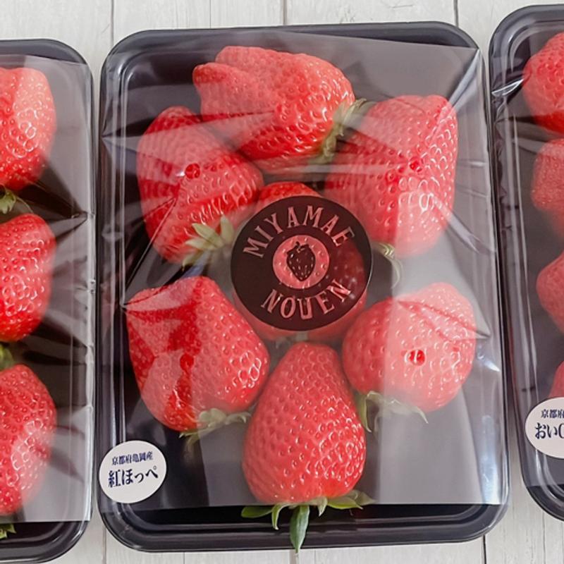 紅ほっぺ(宮前農園)