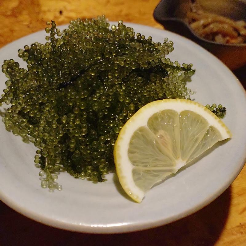 海ぶどう(食材倉肴ひのえ)