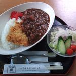 カツカレー(ぶどうの樹 )