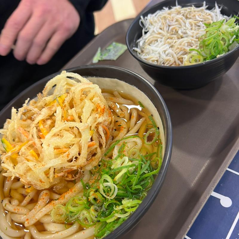 かき揚げうどん＋しらす丼(足柄麺処 EXPASA足柄上り店)